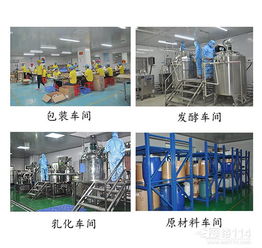 數據處理服務 驅動現代企業數字化轉型的核心引擎