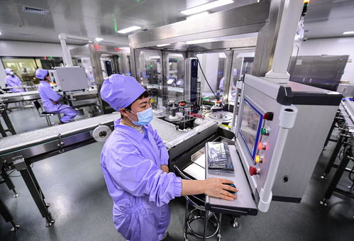 奮進新征程 建功新時代 偉大變革丨遼沈“智”變 軟件服務的創新引擎驅動區域經濟新跨越